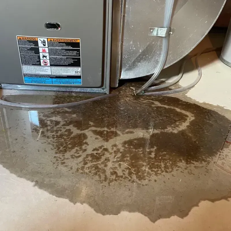 Appliance Leak Cleanup in Searcy County, AR